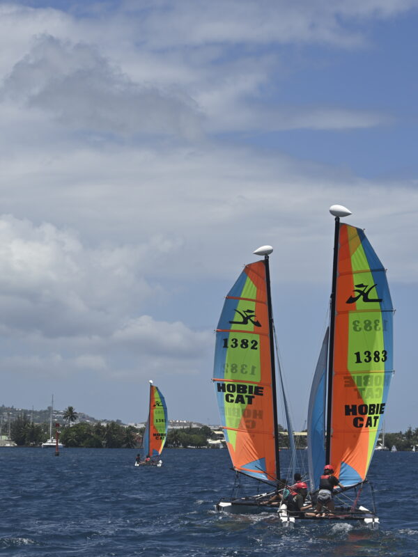 compétition formation ecole voile arue tahiti